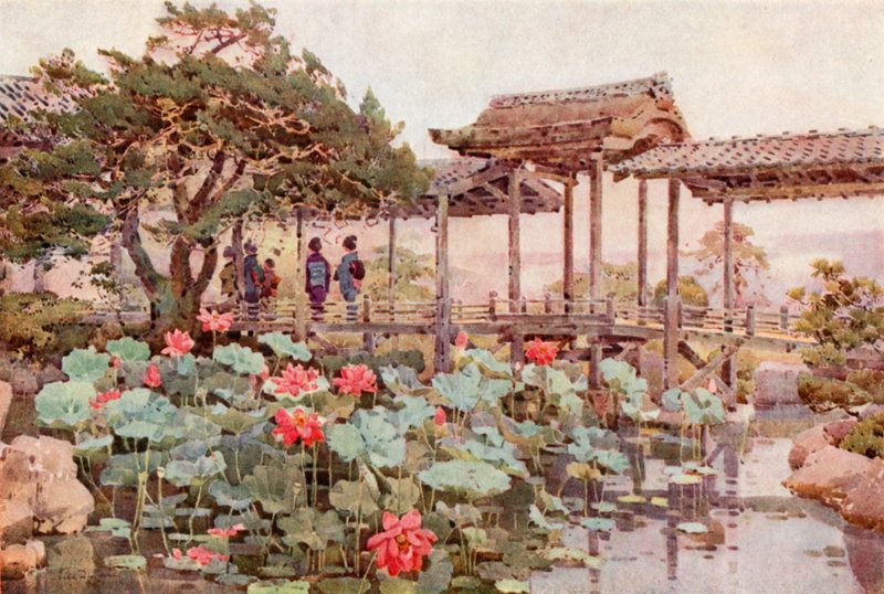 Lotus at Kodaiji (farve litho) af Ella Du Cane