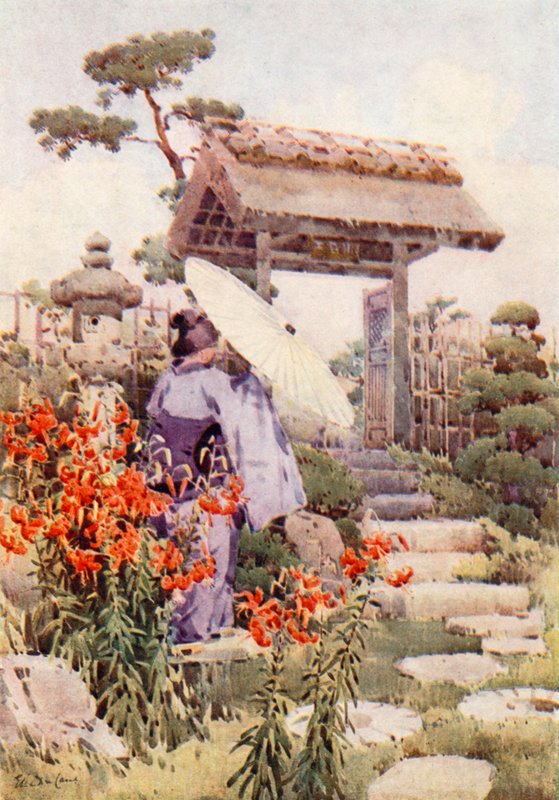 Tiger Lilies (farve litho) af Ella Du Cane