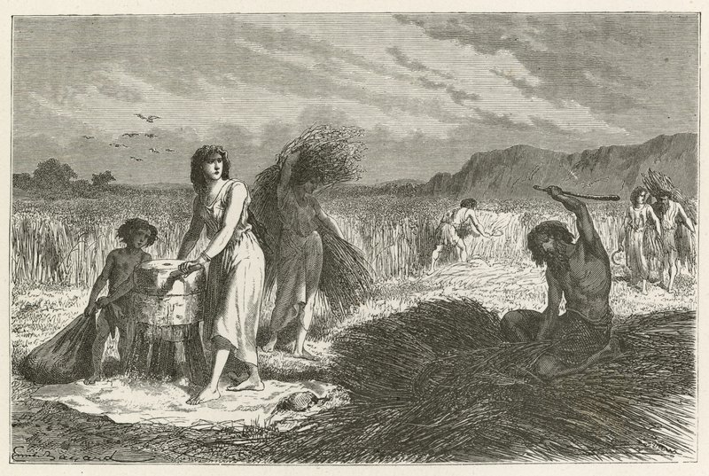 Landbrug i jernalderen af Emile Antoine Bayard