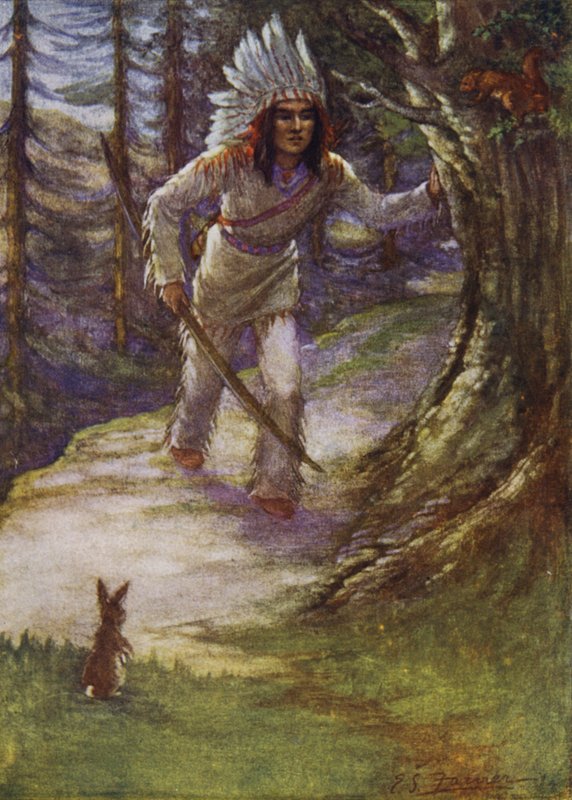 Skyd os ikke, Hiawatha af Emily Farmer