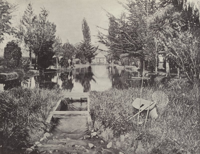 Ved laksedammene, New Norfolk af English Photographer