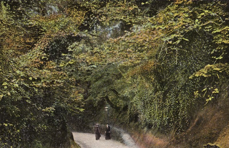 Chine Hollow, Shanklin af English Photographer