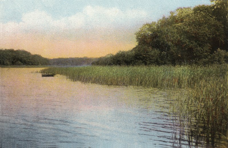 Fritton Lake af English Photographer