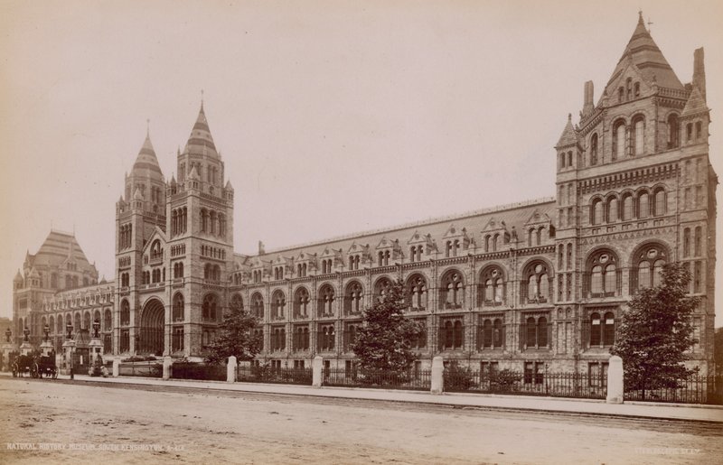 Natural History Museum, South Kensington, London af English Photographer