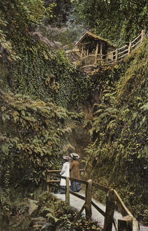 Shanklin Chine af English Photographer
