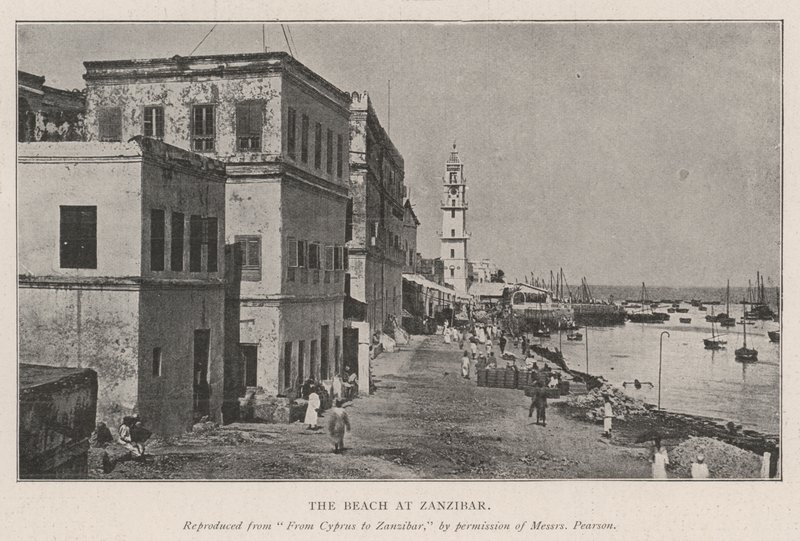 Stranden på Zanzibar af English Photographer