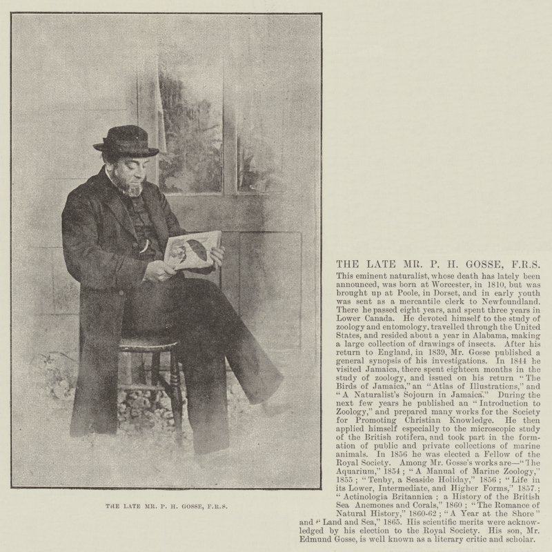 Afdøde hr. P H Gosse, FRS af English Photographer
