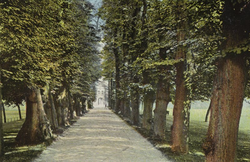 Trinity College, The Avenue af English Photographer
