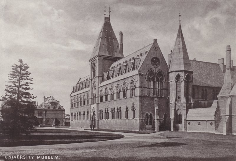 Universitetsmuseet af English Photographer