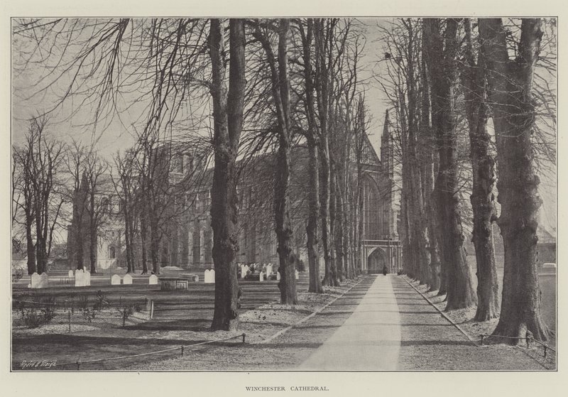Winchester katedral af English Photographer
