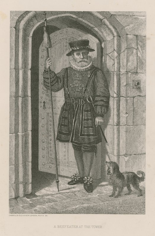 En Beefeater ved tårnet af English School