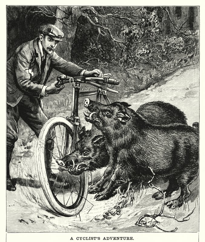 En cyklists eventyr (gravering) af English School