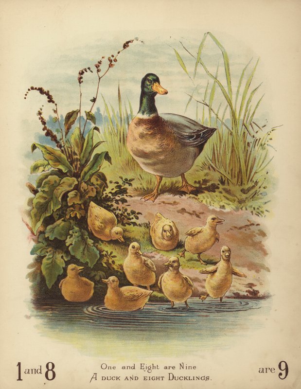 En and og otte ællinger (chromolitho) af English School