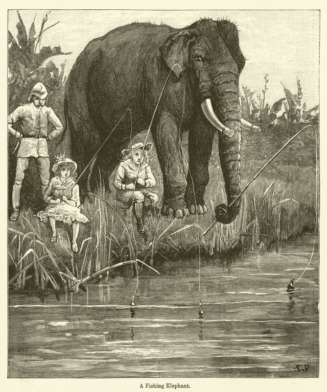 En fiskeelefant (gravering) af English School