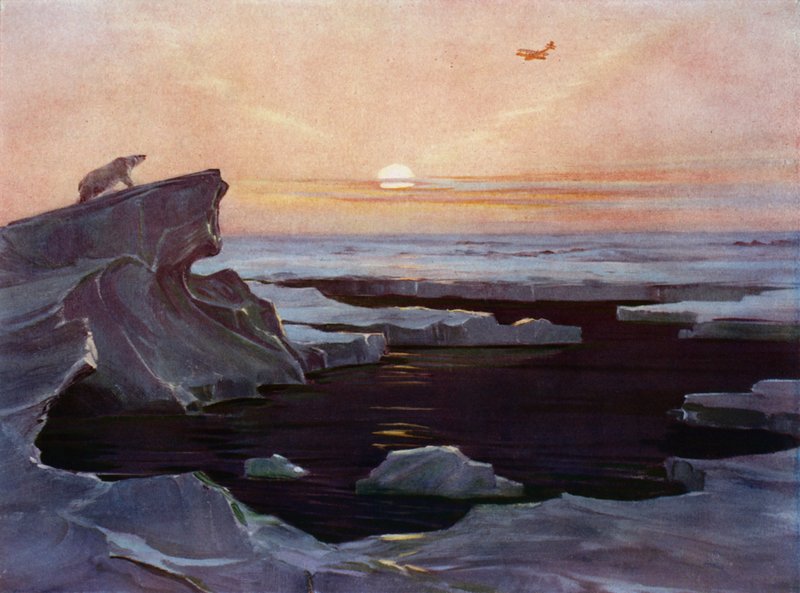 Fly, der flyver over Arktis (farve litho) af English School