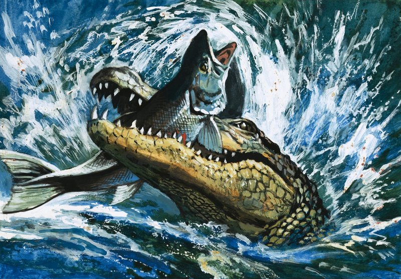 Alligator spiser fisk af English School