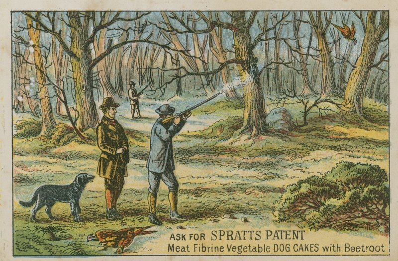 Spørg om Spratts patent af English School