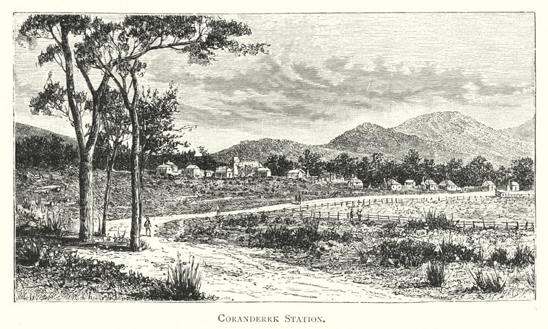 Australien: Coranderrk Station (gravering) af English School