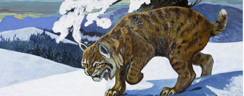 Bobcat af English School