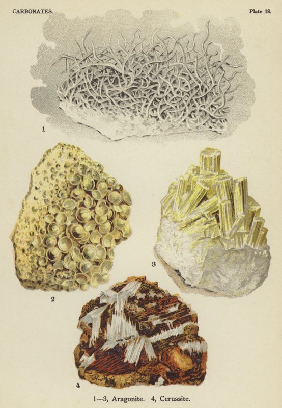 Karbonater, aragonit, cerussit (farve litho) af English School