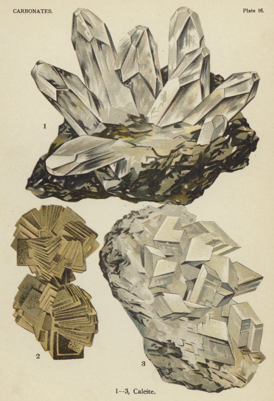 Carbonater, calcit (farve litho) af English School