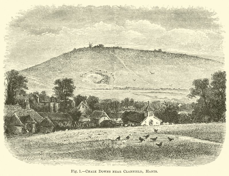 Chalk Downs nær Clanfield, Hants af English School