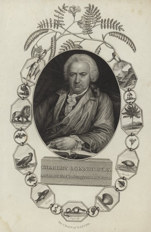 Charles Bonnet af English School