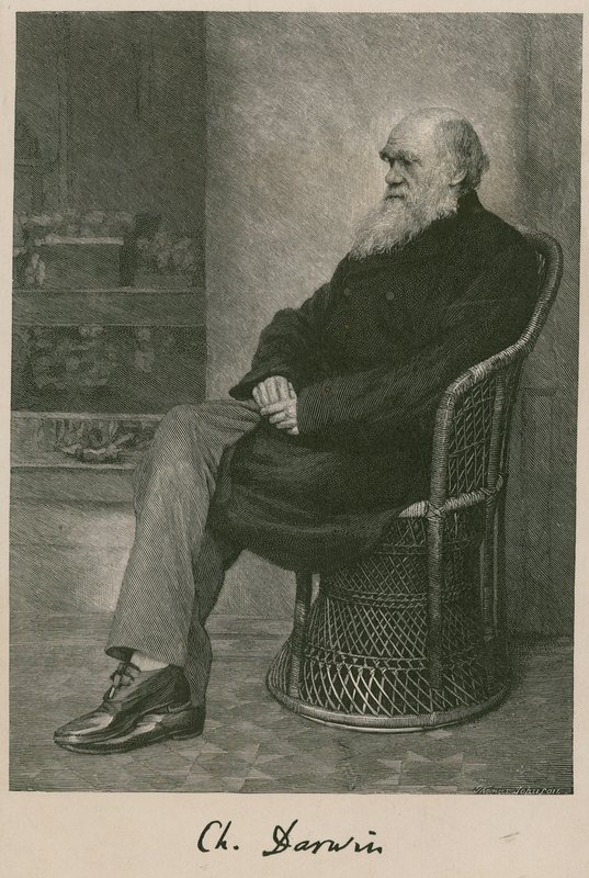 Charles Darwin af English School