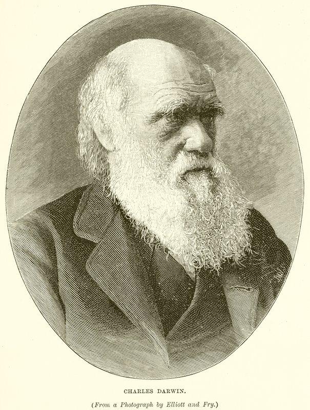 Charles Darwin af English School