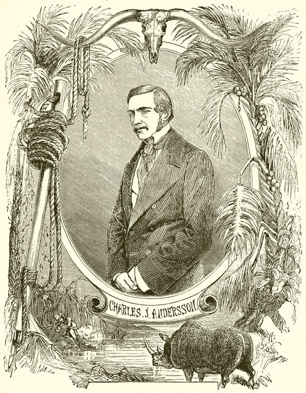 Charles J Andersen af English School
