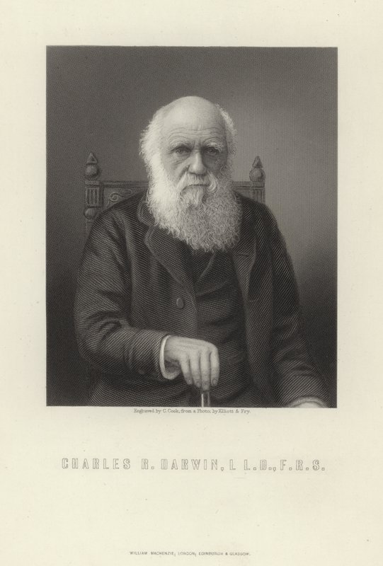 Charles R. Darwin af English School