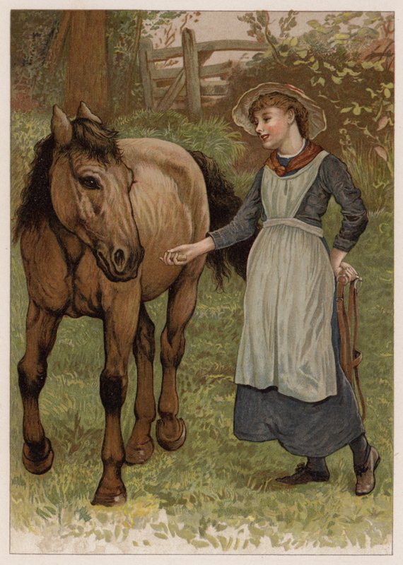 Clever Dobbin (chromolitho) af English School
