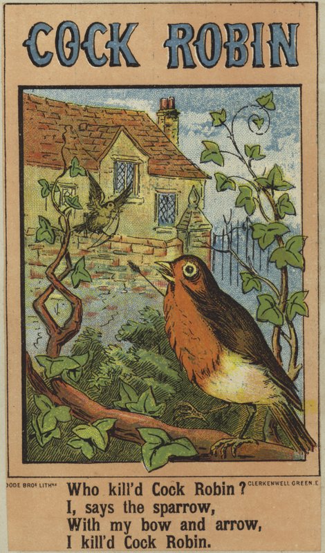 Pik Robin af English School