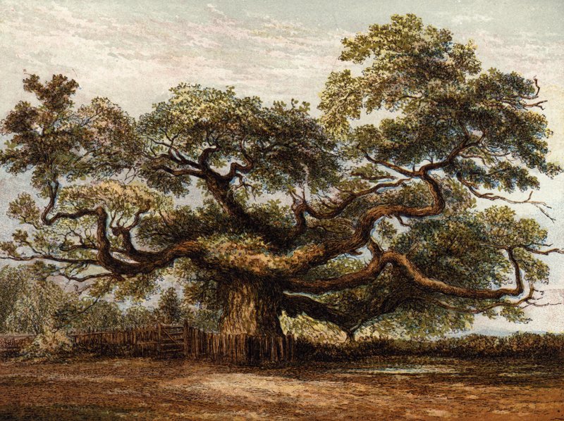 Crouch Oak, Addlestone af English School