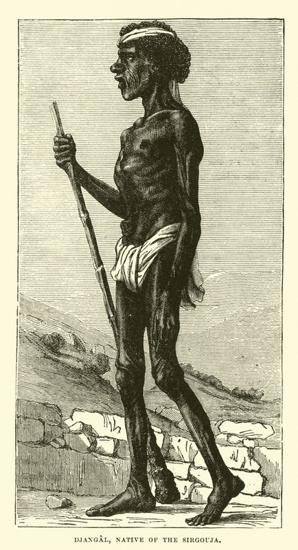 Djangal, native of the Sirgouja  af English School