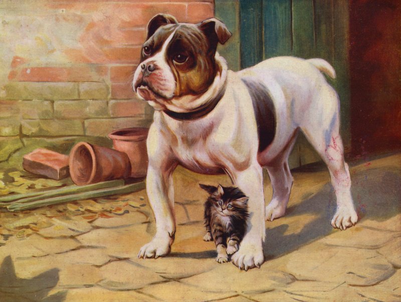Hund og killing (farve litho) af English School