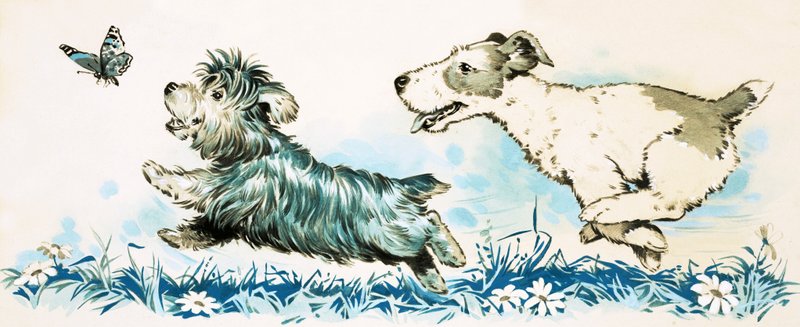 Hunde jagter en sommerfugl af English School