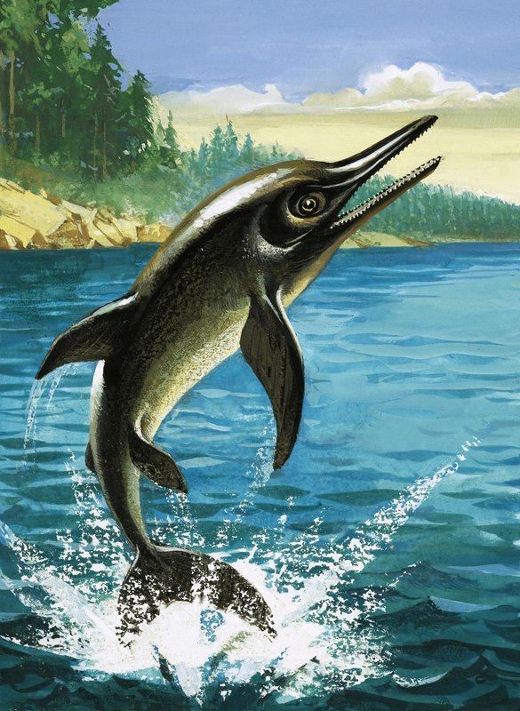 Delfin af English School