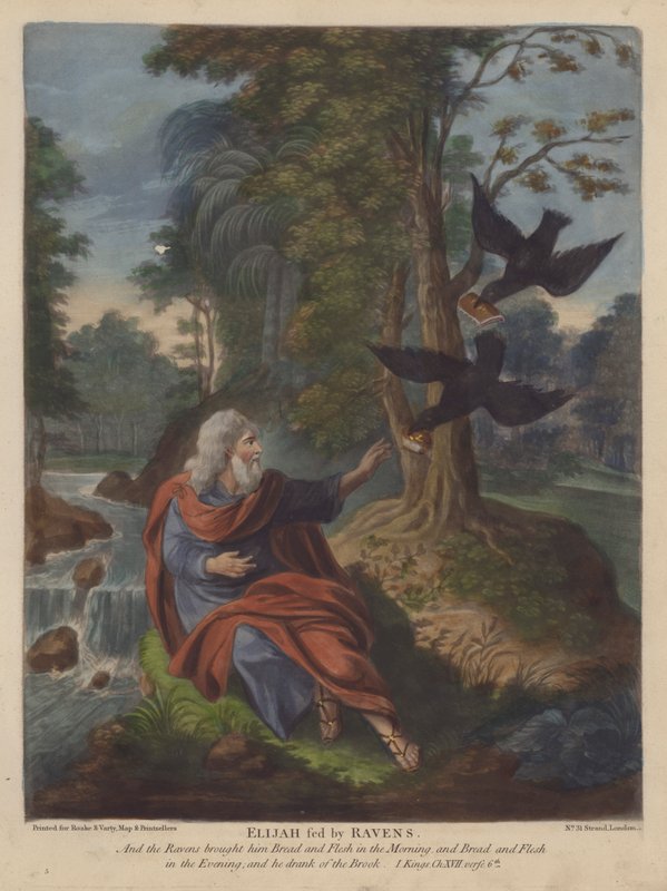 Elias fodret af Ravens (farve litho) af English School