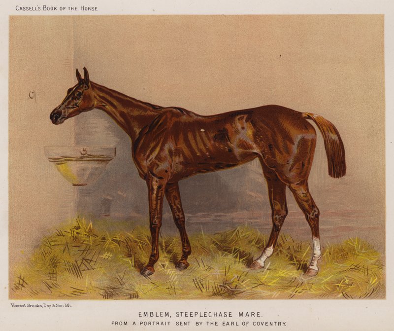 Emblem, Steeplechase Hoppe (farve litho) af English School