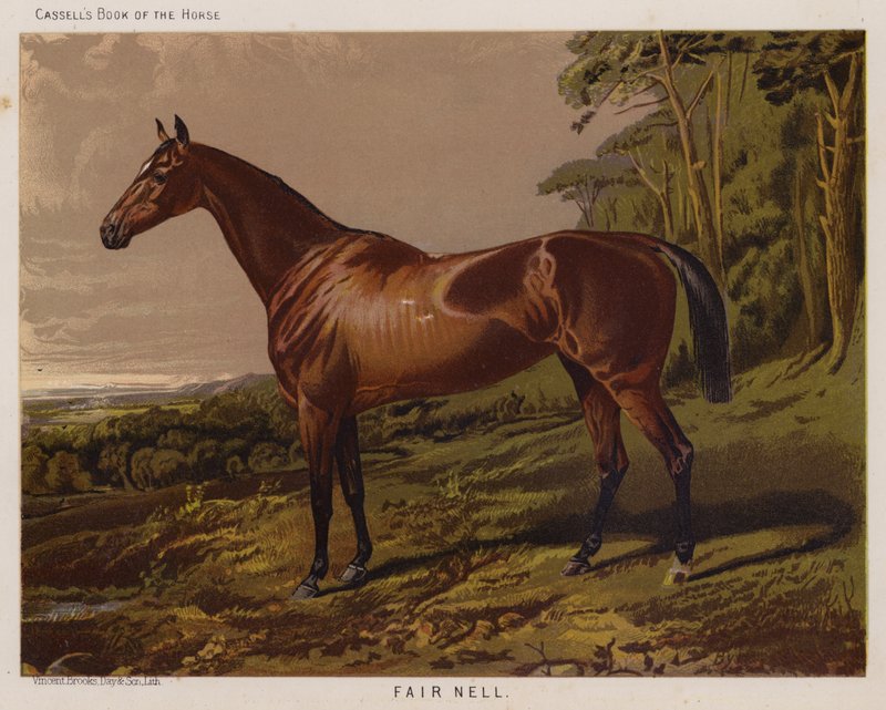 Fair Nell (farve litho) af English School