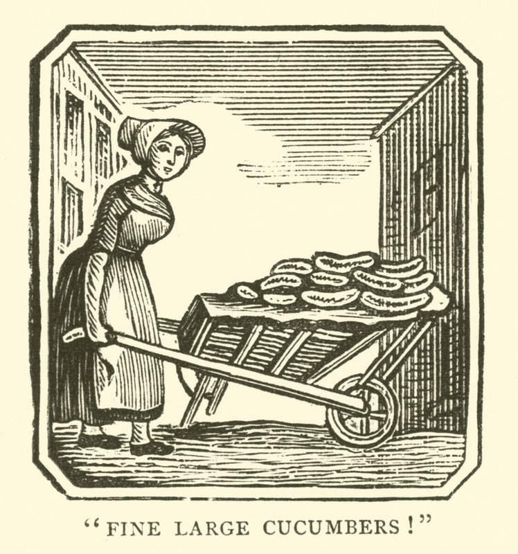 Fine store agurker (træsnit) af English School