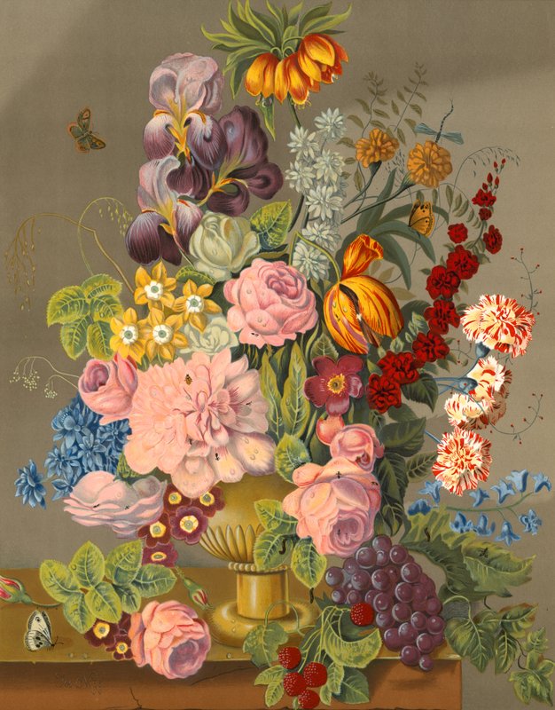 Blomsterudstilling af English School