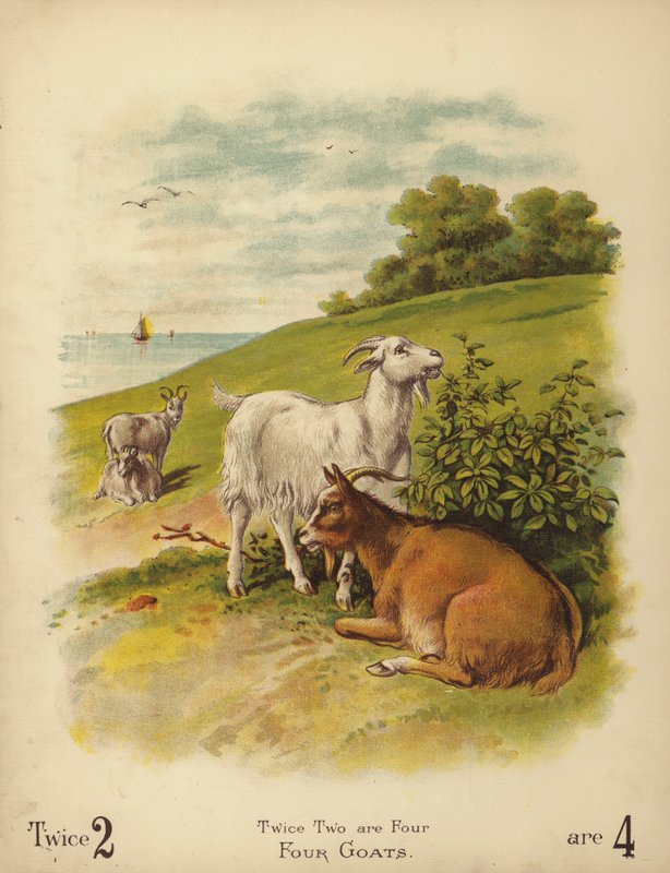 Fire geder (chromolitho) af English School