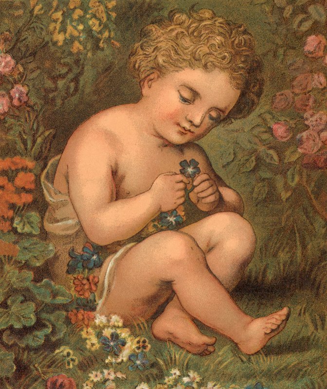 Haveblomster (farve litho) af English School
