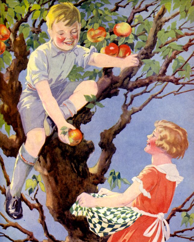 Indsamling af æbleafgrøden (farve litho) af English School