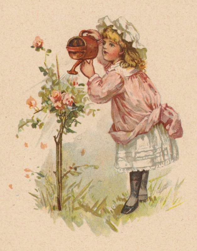 Pige vander roser (chromolitho) af English School