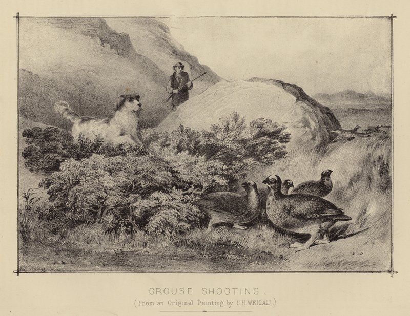 Rypeskydning (farve litho) af English School