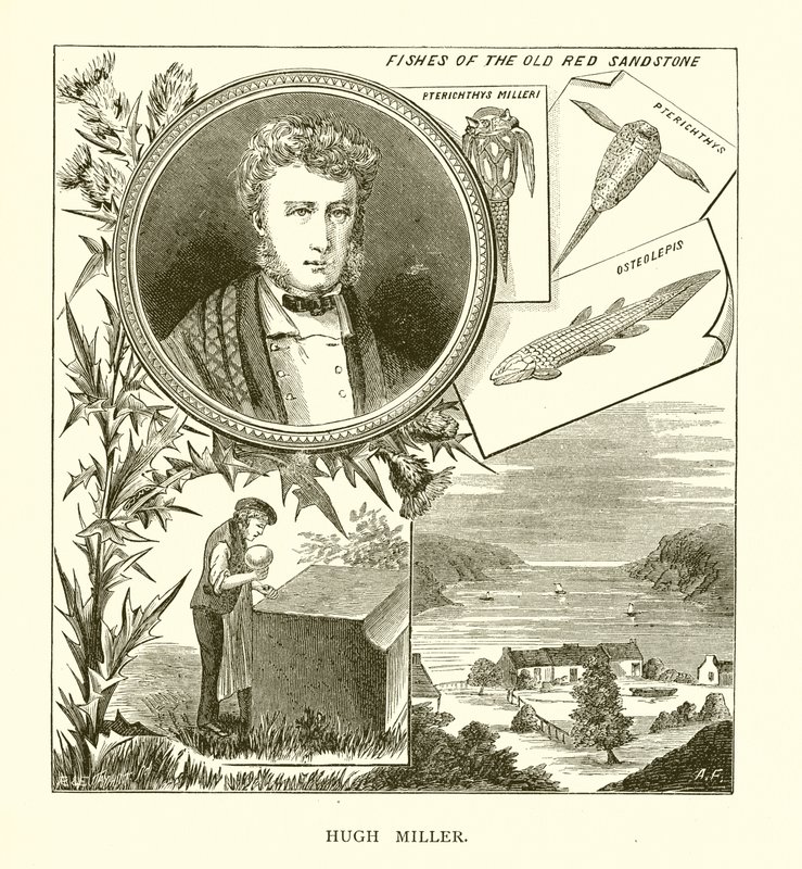 Hugh Miller af English School