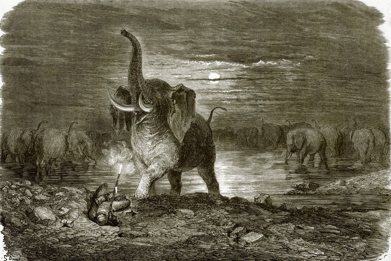 Jæger og elefant af English School